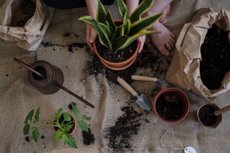 Easy Gardening Projects for More Outdoor Activity